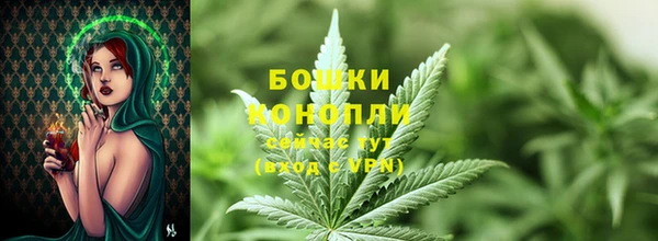 гашик Елизово