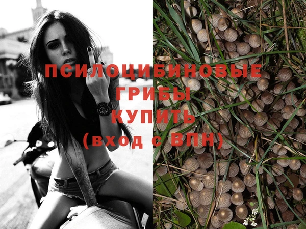 марихуана Алзамай