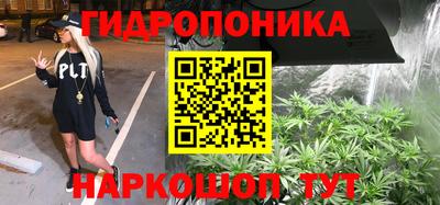 шишки Пушкино