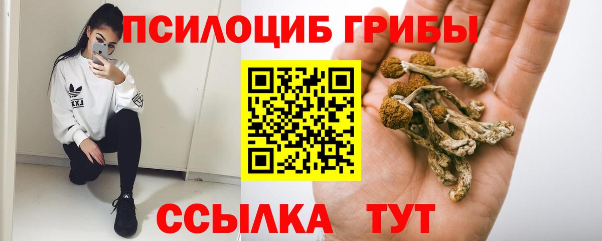 Находка  Псилоцибиновые грибы Magic Shrooms  Галлюциногенные грибы Cubensis  Вход с VPN 